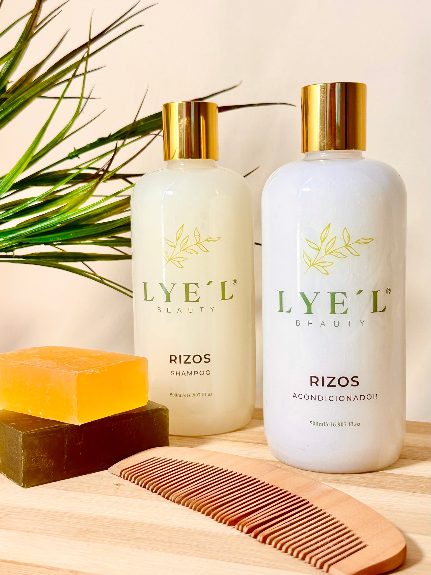 Kit Rizos