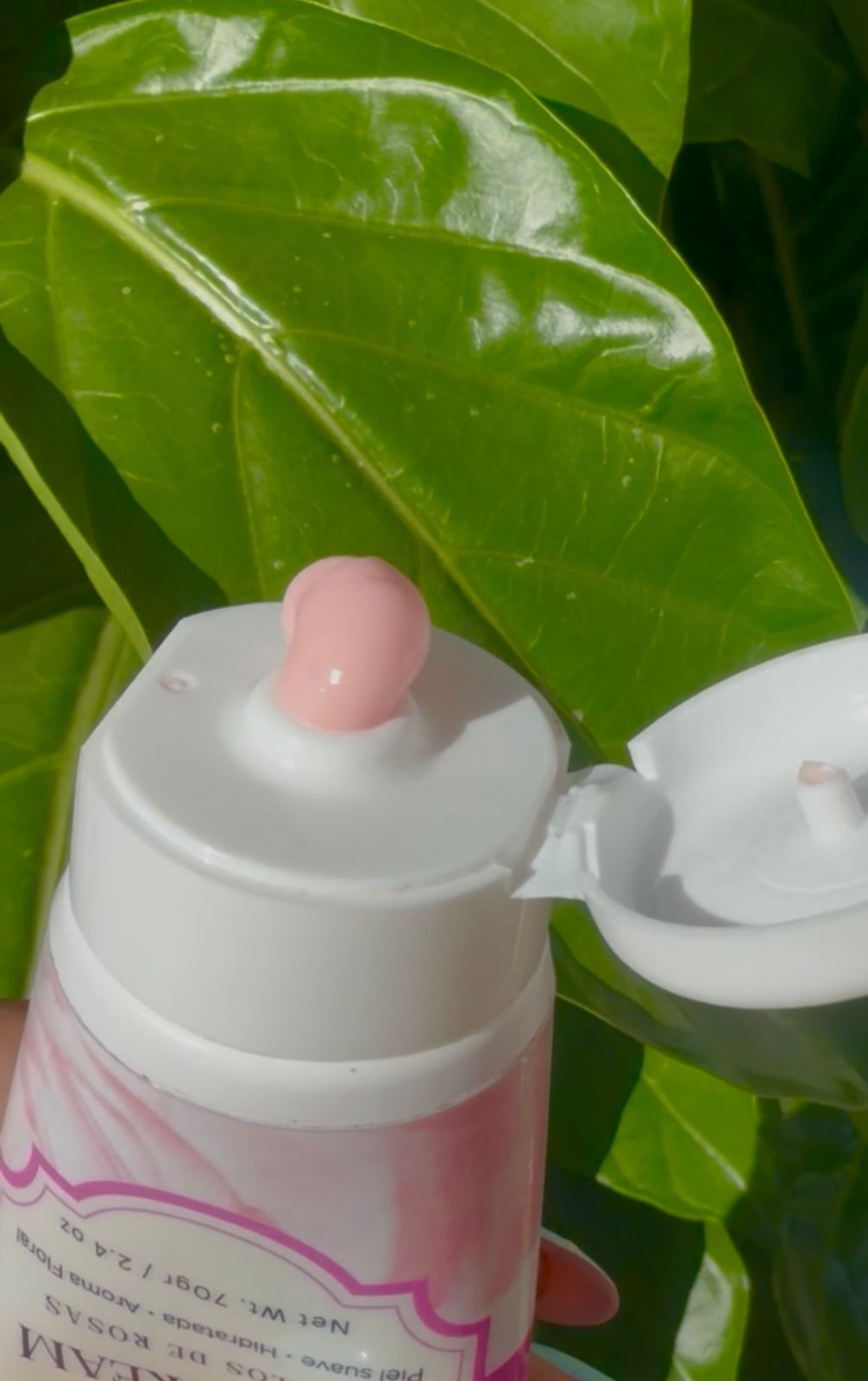 Body Cream