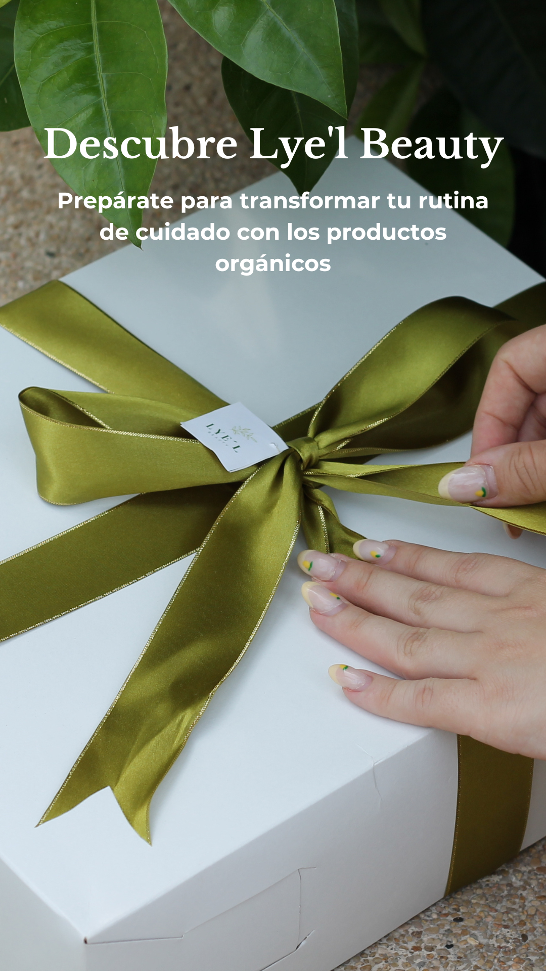 Te damos más que solo un cabello increíble