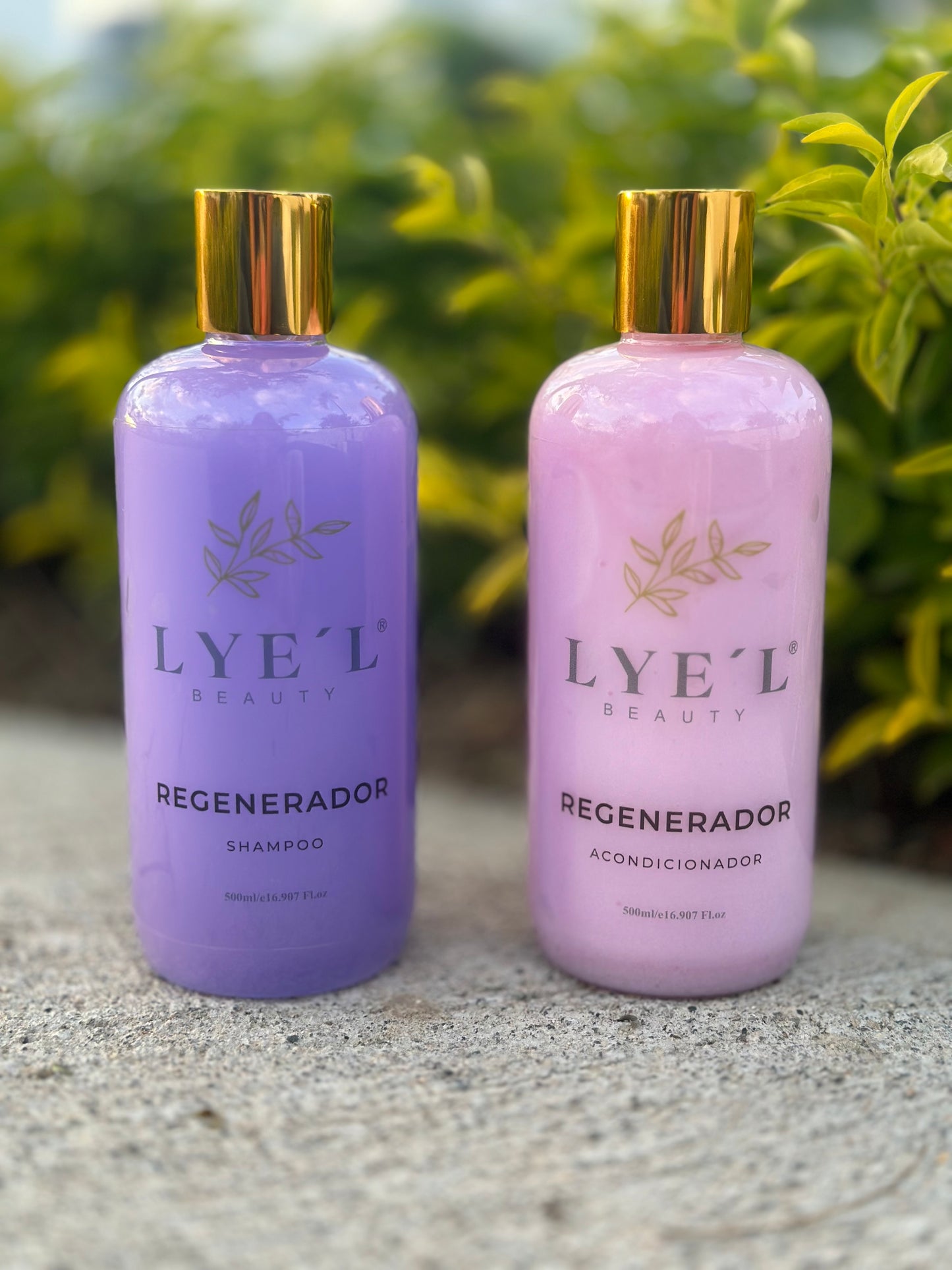 Kit Regenerador