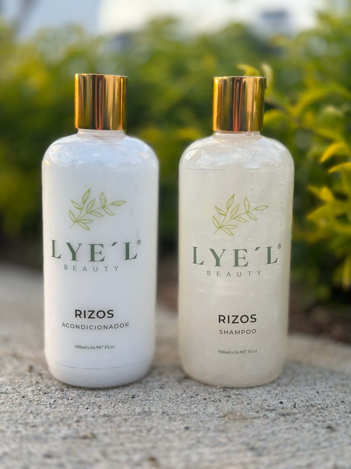 Kit Rizos