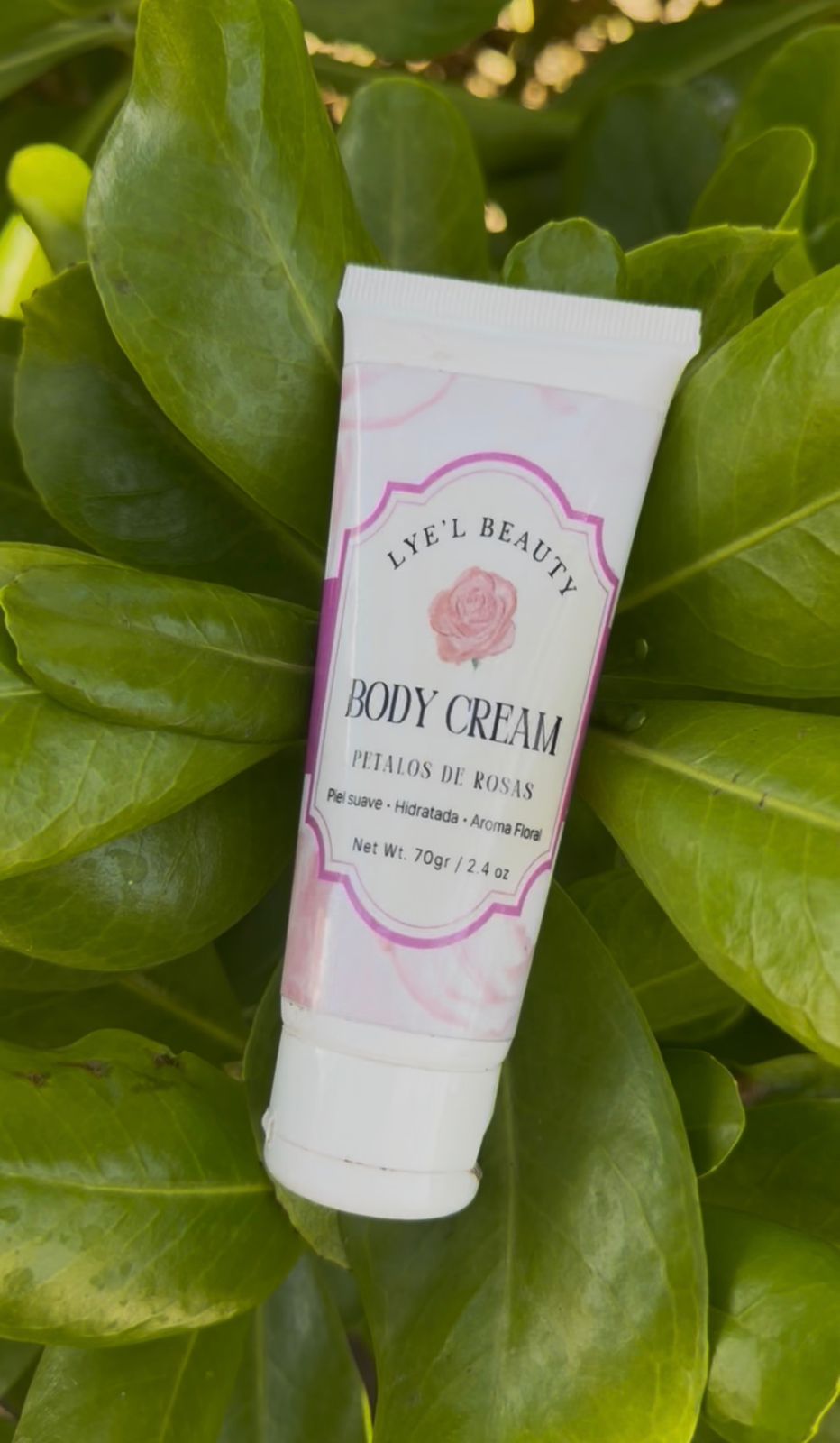 Body Cream